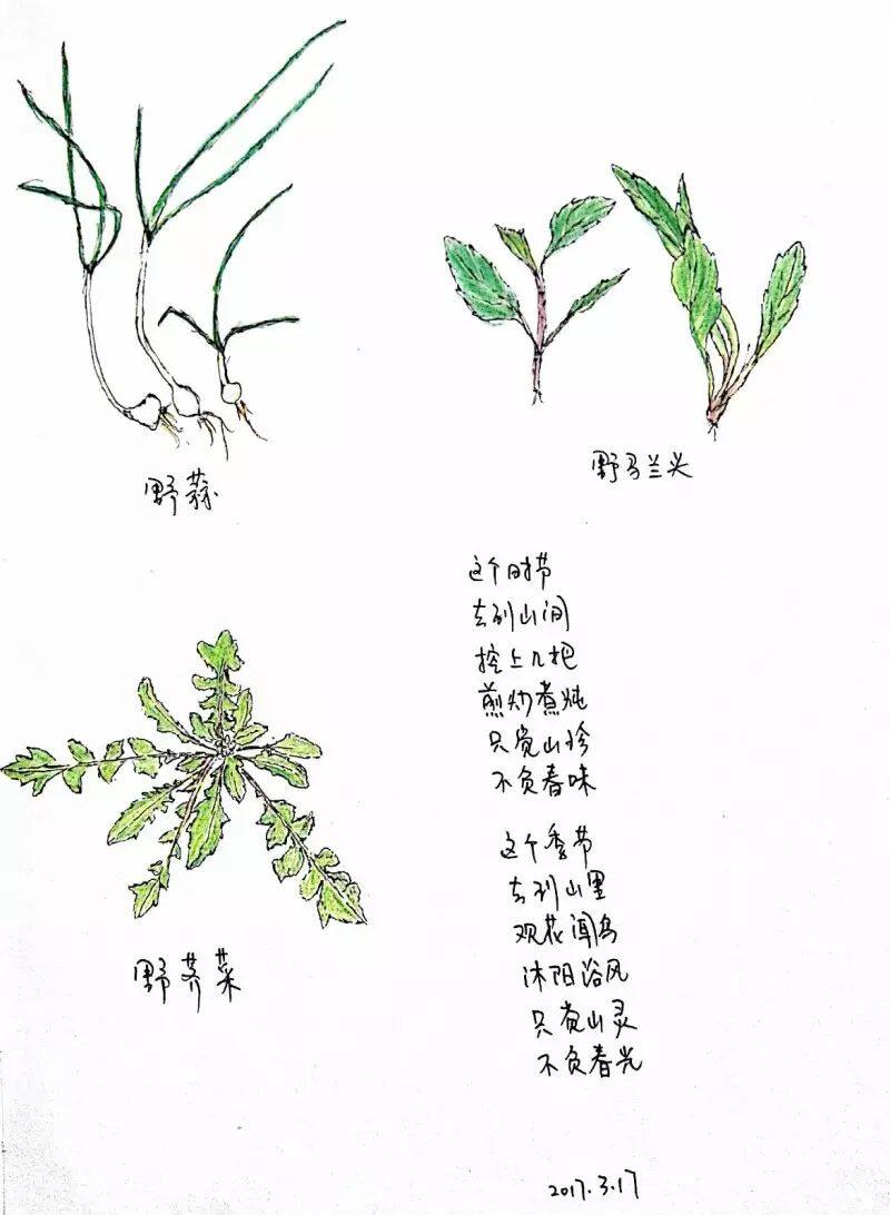 三等奖12_5_新文档 2017-03-17 _4__1.jpg