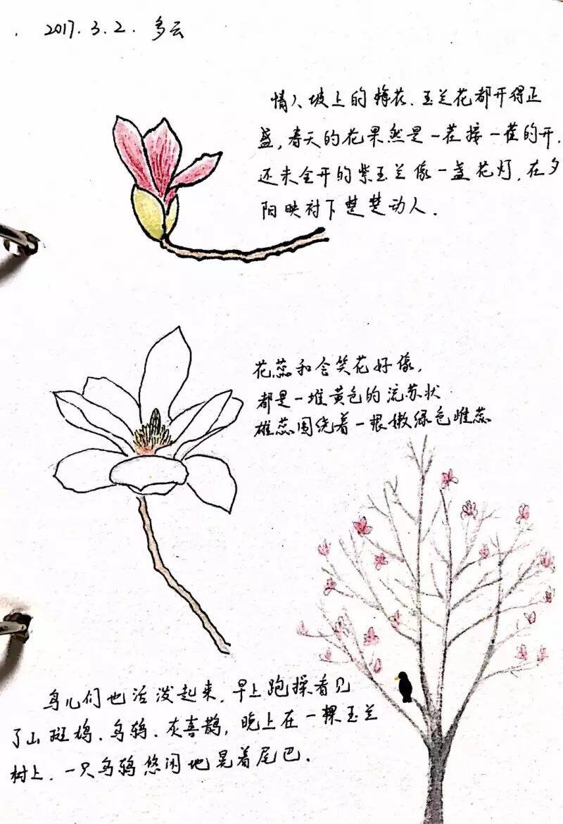 二等奖16_5_IMG_0368.JPG