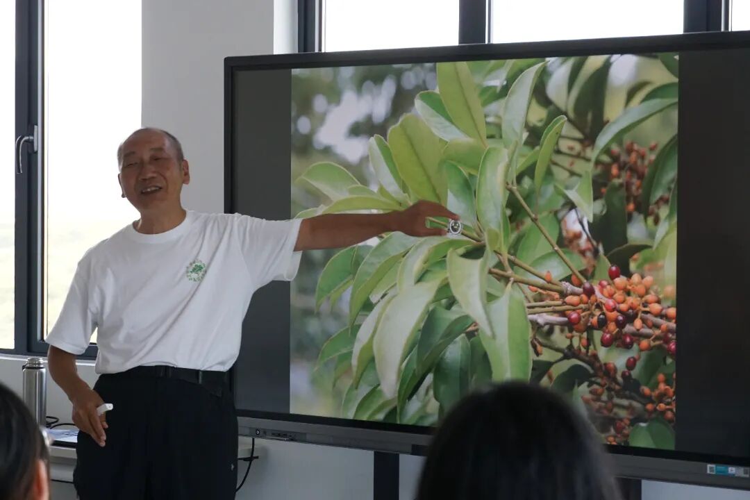 八爷1.jpg