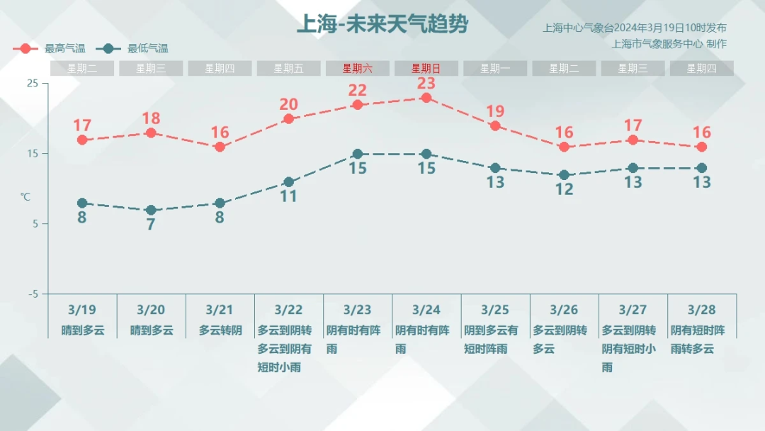 记录上海的蘑菇 24年3月