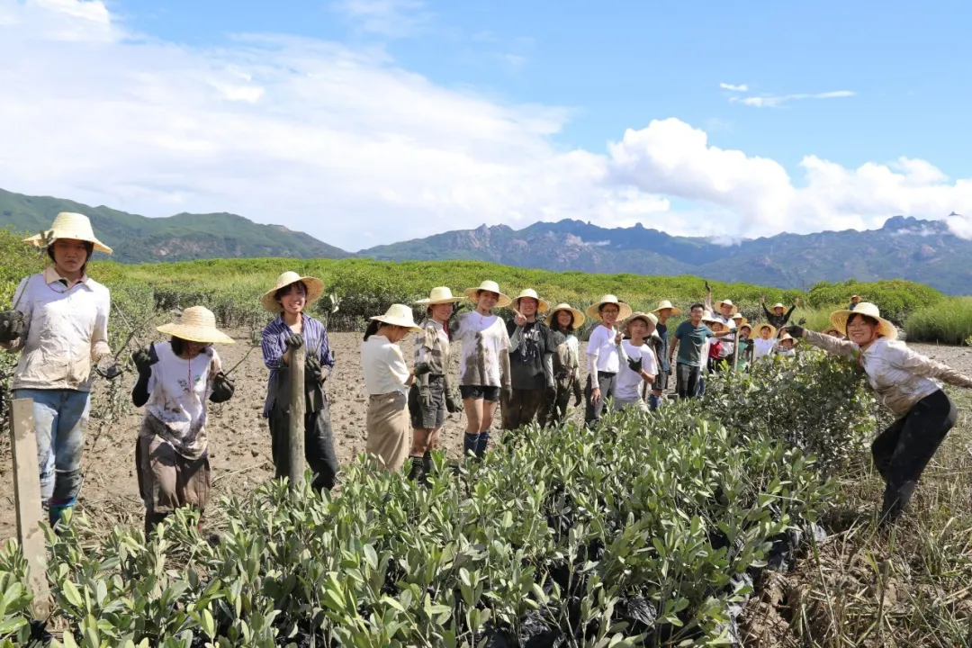 营期通讯三 | 第二十七届全国大学生绿色营红树林蓝碳与气候变化主题营DAY 5-6