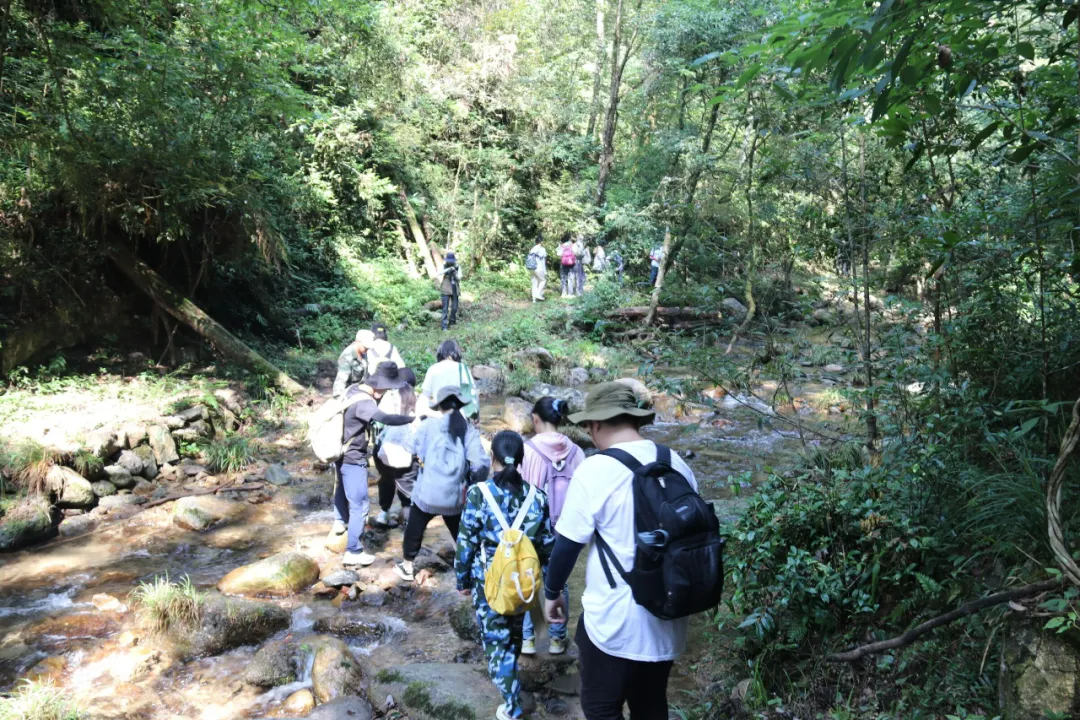 营期通讯四：朝闻鸟鸣，夕采村声｜第二十七届全国大学生绿色营自然讲解员训练营Day6-8