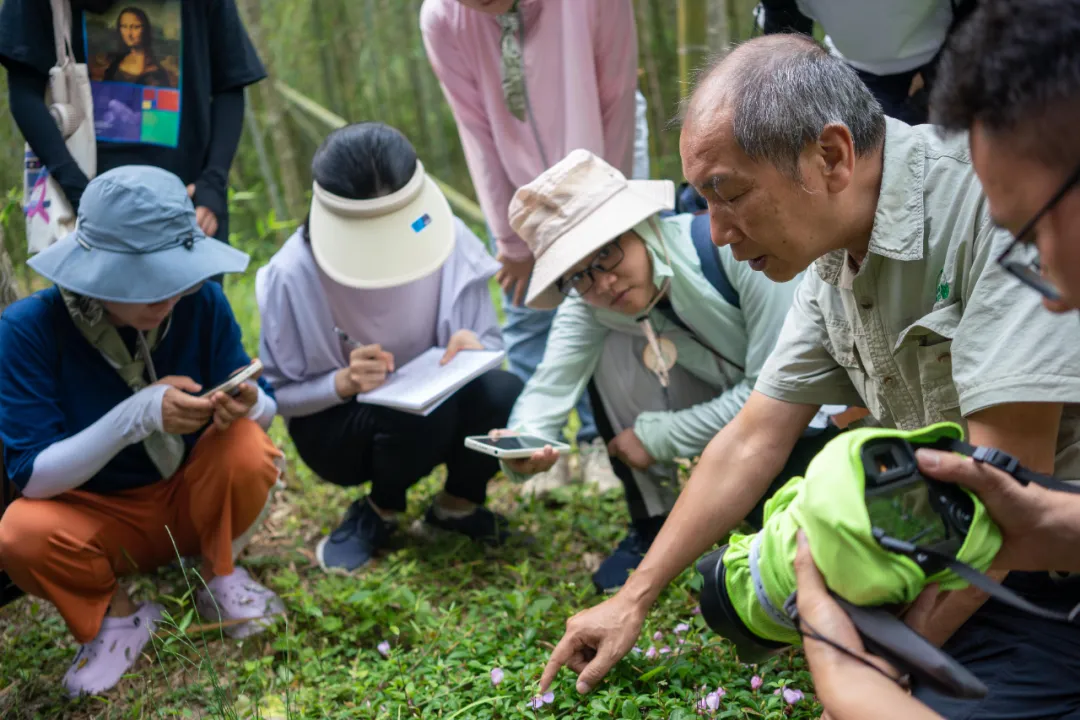 营期通讯二：知来处，明去处；观木叶，闻瀑声｜第二十七届全国大学生绿色营自然讲解员训练营Day2-3