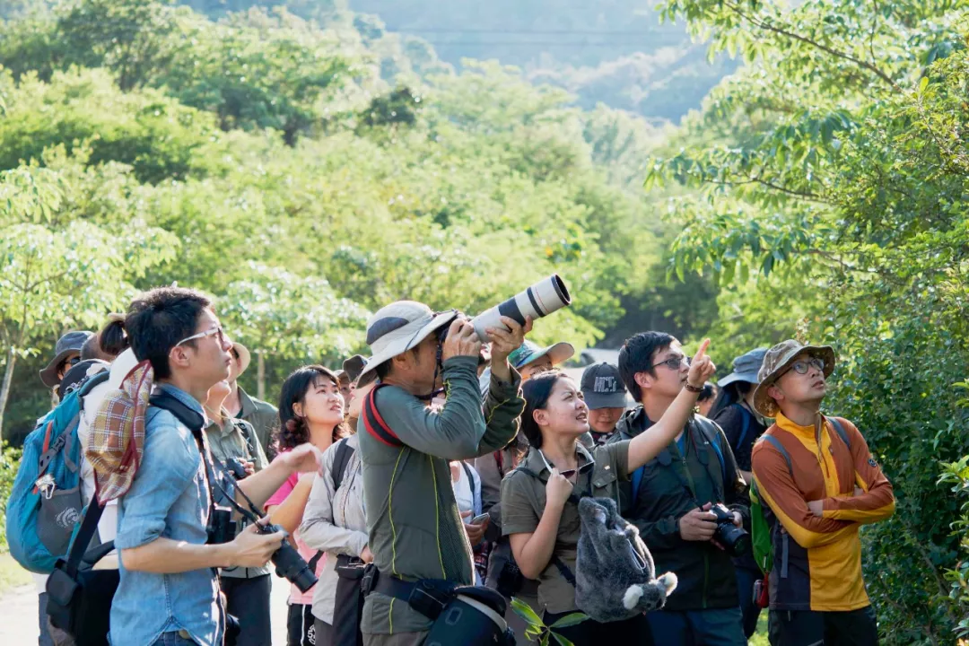 第二十六届全国大学生绿色营半年制营期｜长江大保护调研项目招募