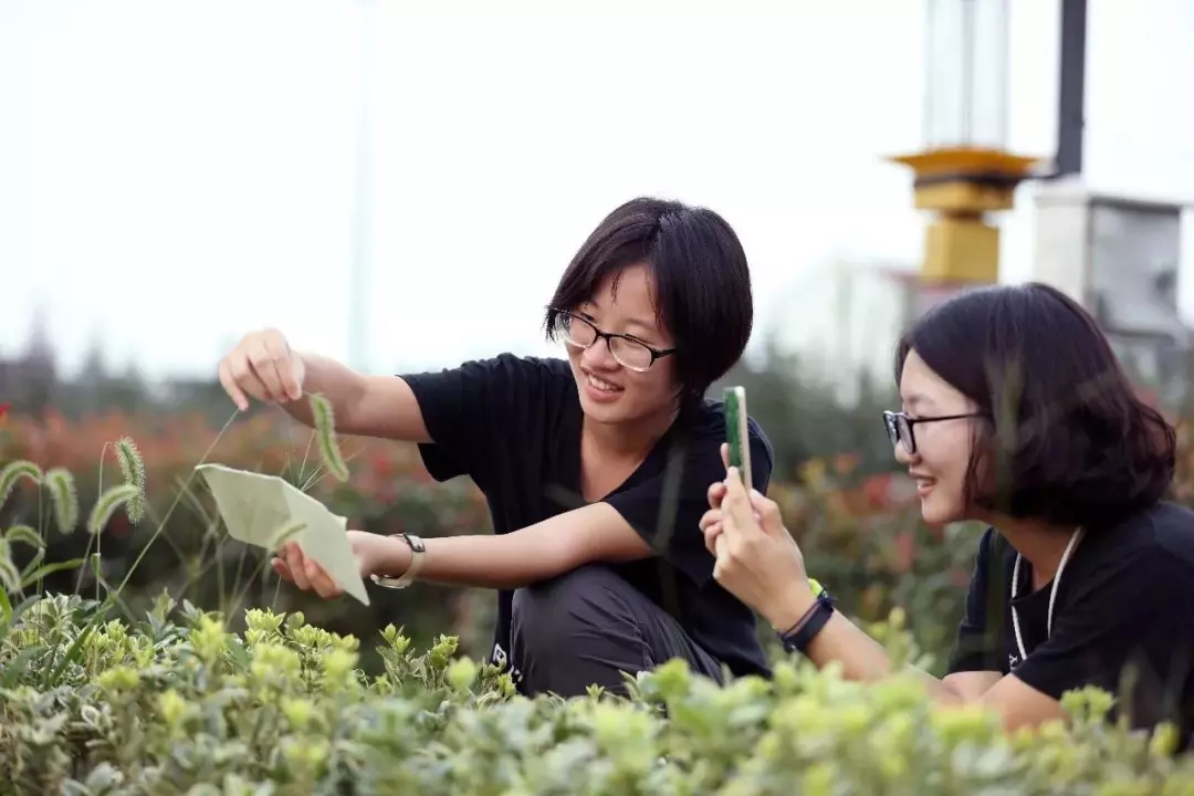 小组活动推荐｜上海：十一自然体验营，赴约now！