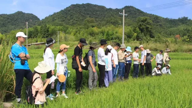 营期回顾｜2018福建君子峰自然讲解员训练营（一）