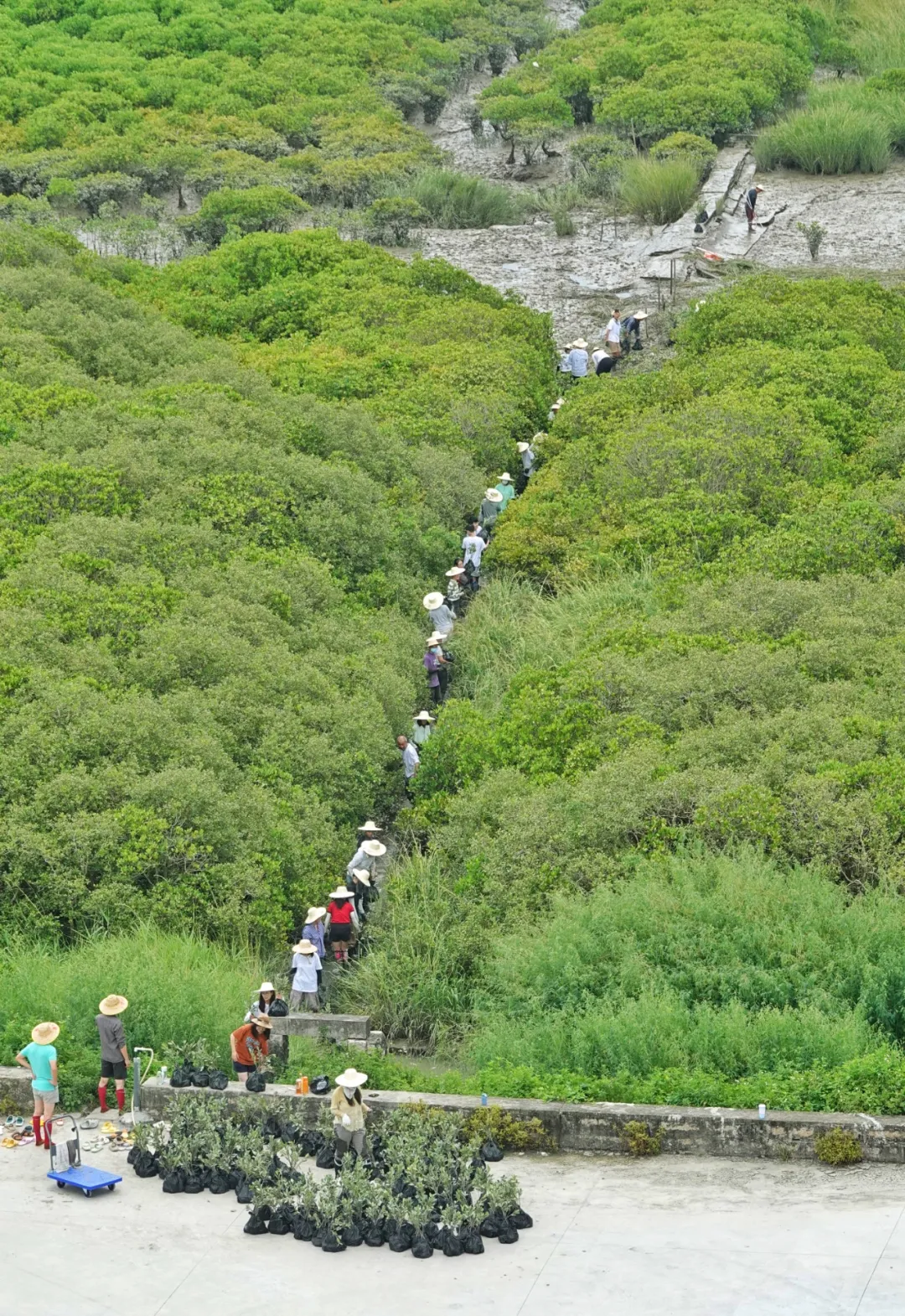 致老营员｜第二十八届全国大学生绿色营筹委招募