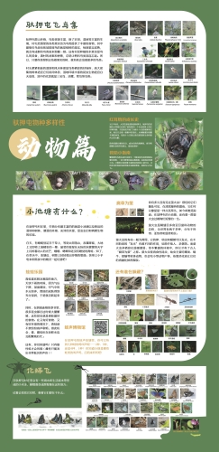驮押屯植物篇